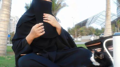 娱乐吃瓜君男孩,揭秘娱乐圈背后的故事与八卦